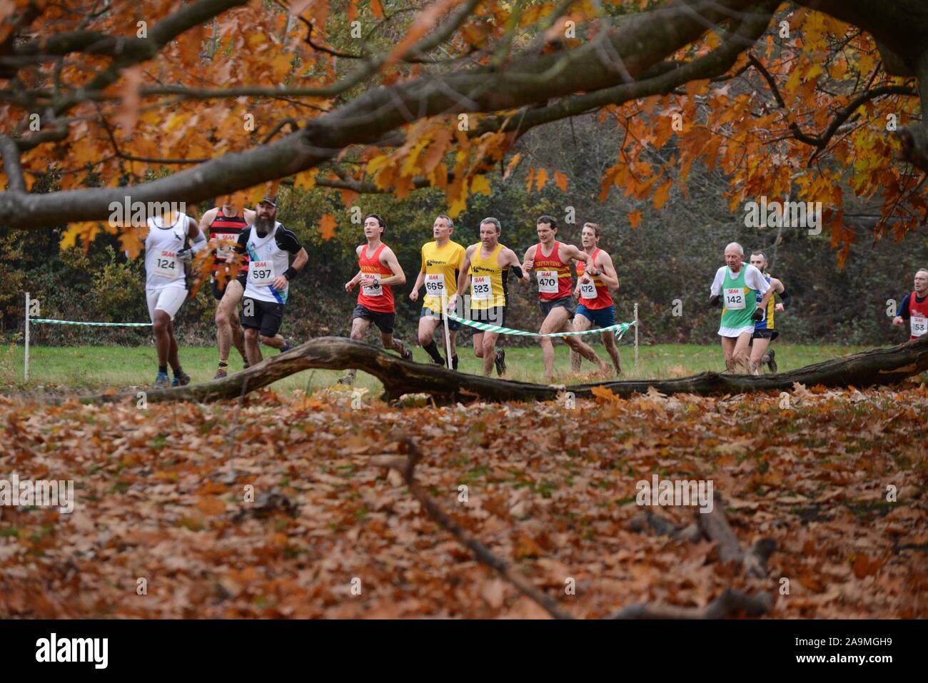 Wettbewerber im cross country running Championships, Parliament Hill, Hampstead Heath, London. Stockfoto