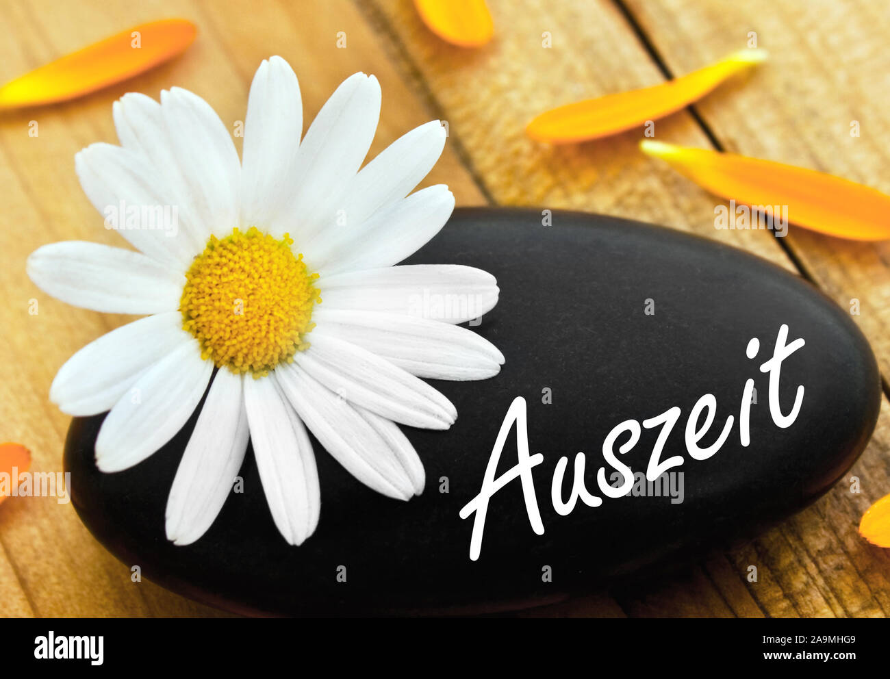 Deutsche Time-out wellness Stein mit Daisy auf Holz als Hintergrund Stockfoto