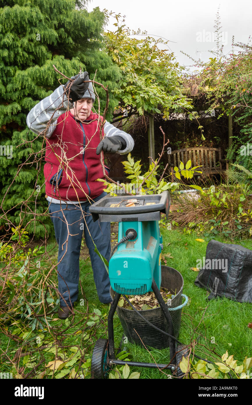 Frau mit einem Garten schredder von baumschnitt zu entsorgen Stockfoto