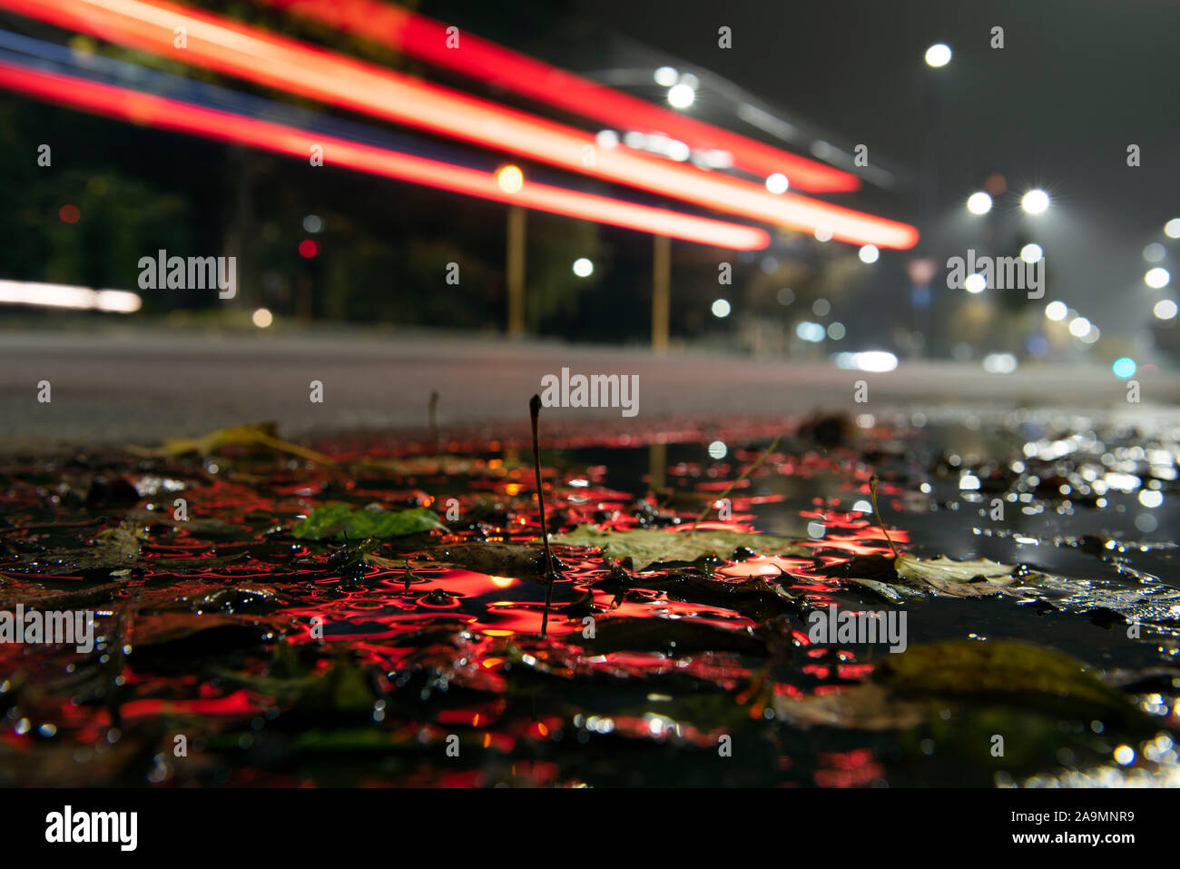 Nachts mit Regen auf der Straße Stockfoto