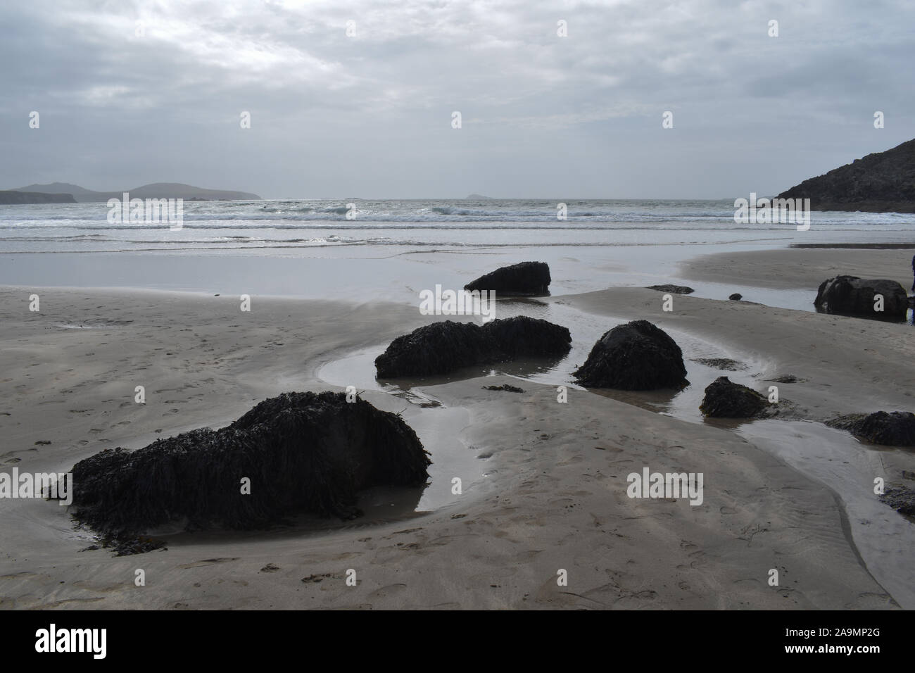 Whitesands Beach, Pembrokeshire, Wales Stockfoto