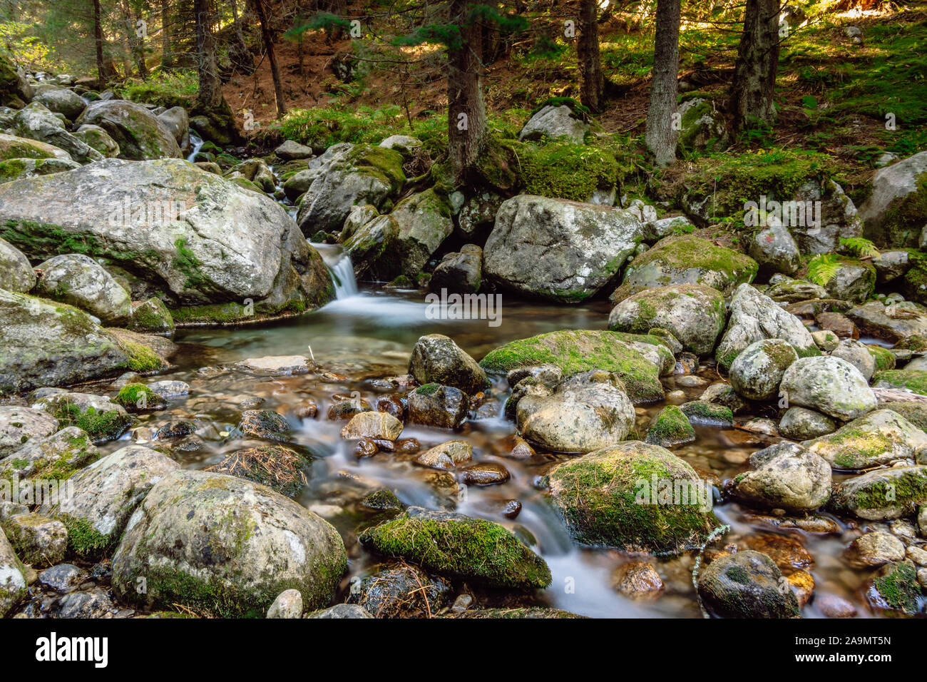Slow Motion Mountain River. Kleiner Bach in den wilden Wald und Steine mit Moos. Smoky мountain Stream, Rila Gebirge, Bulgarien. Stockfoto