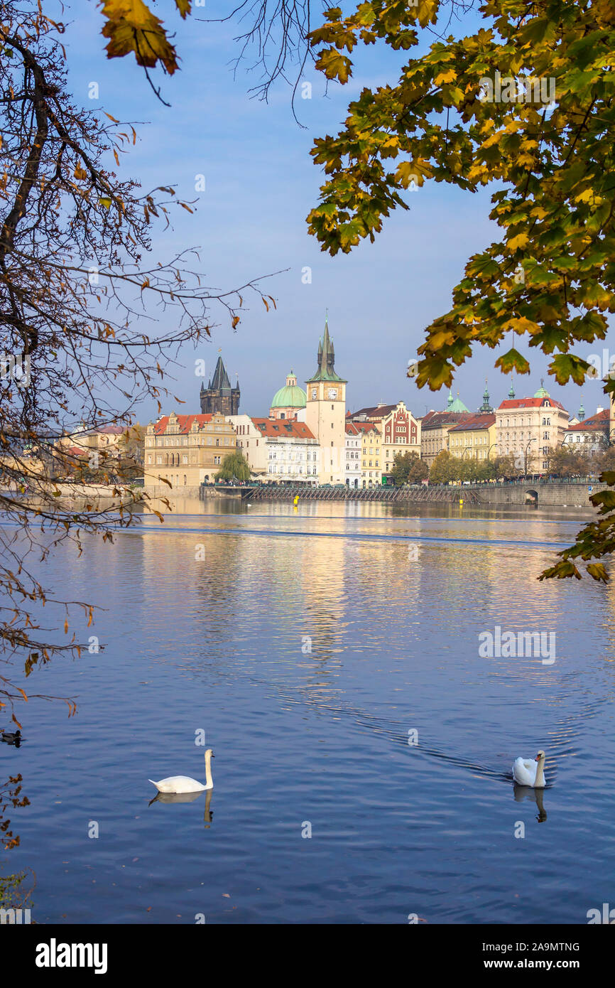 Schöne Stadtbild mit Schwänen in der Moldau, Turm der Karlsbrücke, Kirchen und Museen, Prag, Tschechische Republik Stockfoto