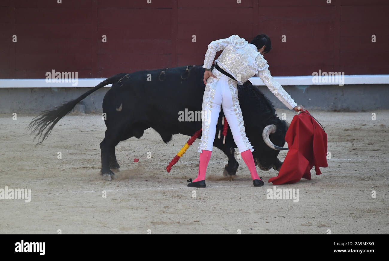 Stierkampf in Spanien Stockfoto