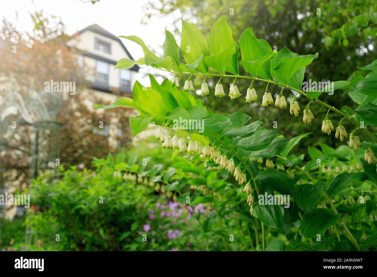 Bell, auch als King Solomon's - Dichtung oder Salomos Siegel, Castine, Maine, New England, USA bekannt Stockfoto