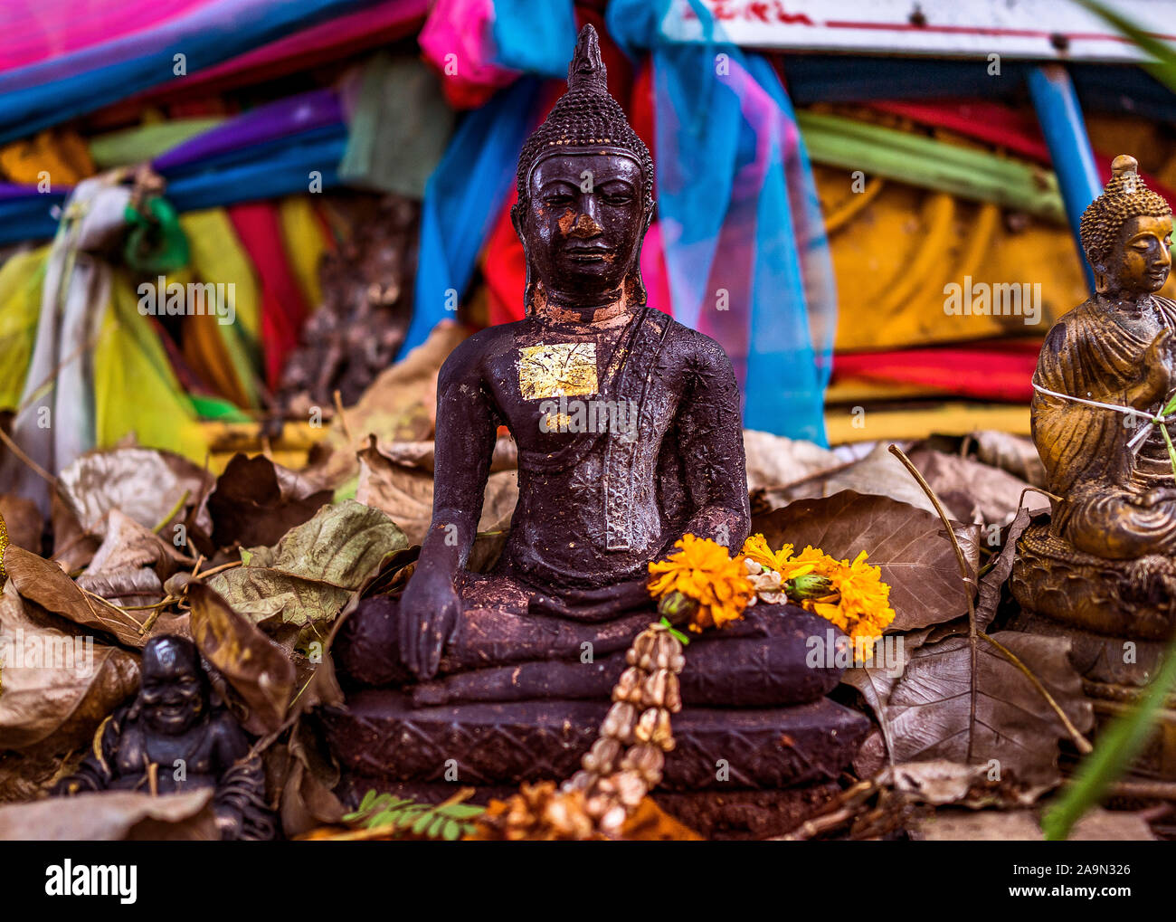 Nahaufnahme der verehrten Heiligen Buddha Statue in Bangkok, Thailand Stockfoto