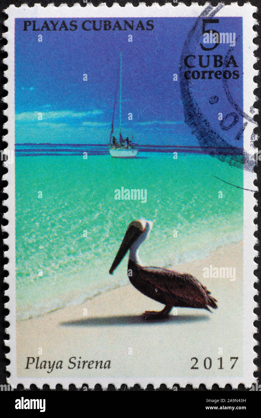 Pelikan im Tropical kubanischen Strand auf Briefmarke Stockfoto