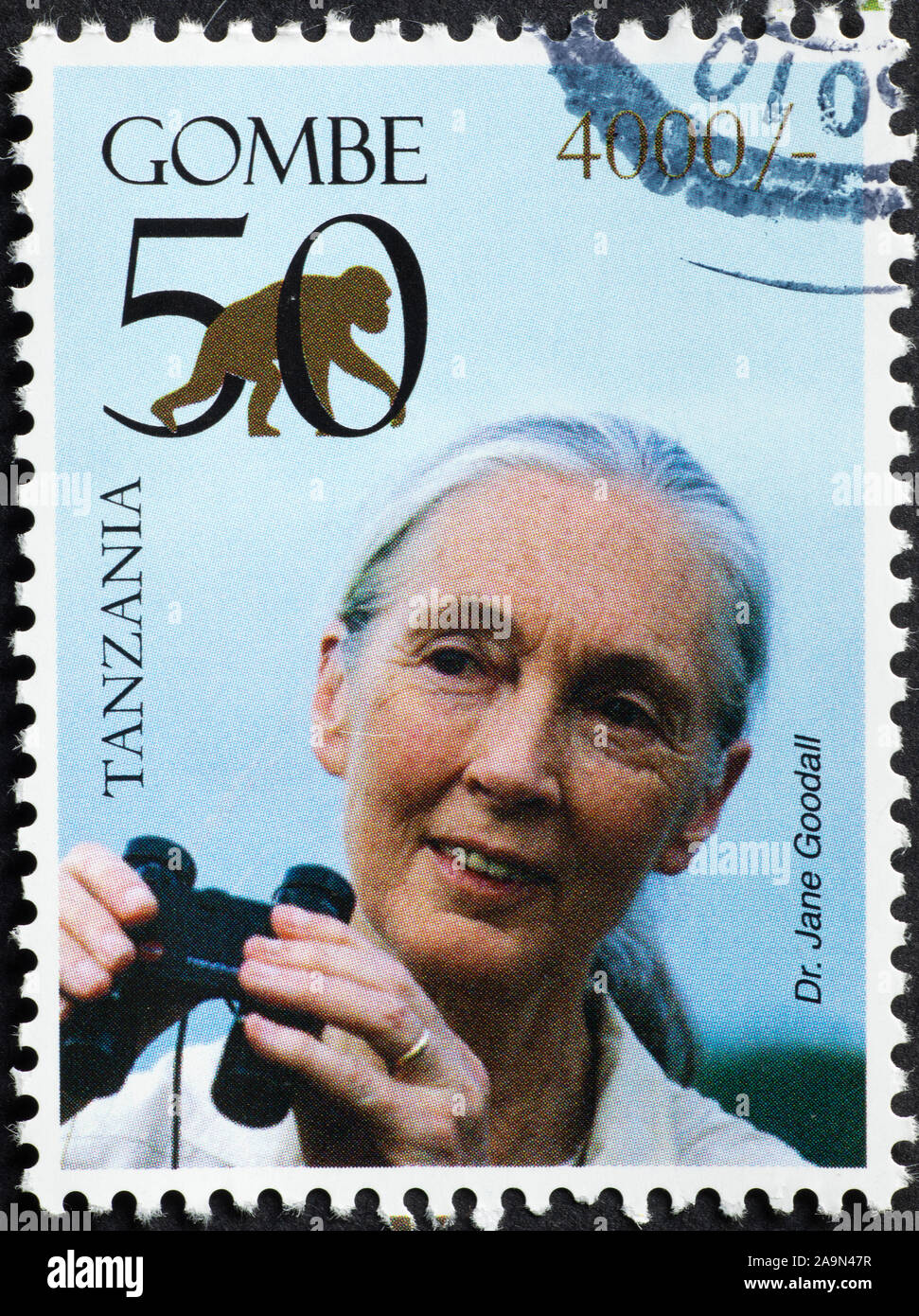 Portrait od Dr. Jane Goodall auf Briefmarke Stockfoto