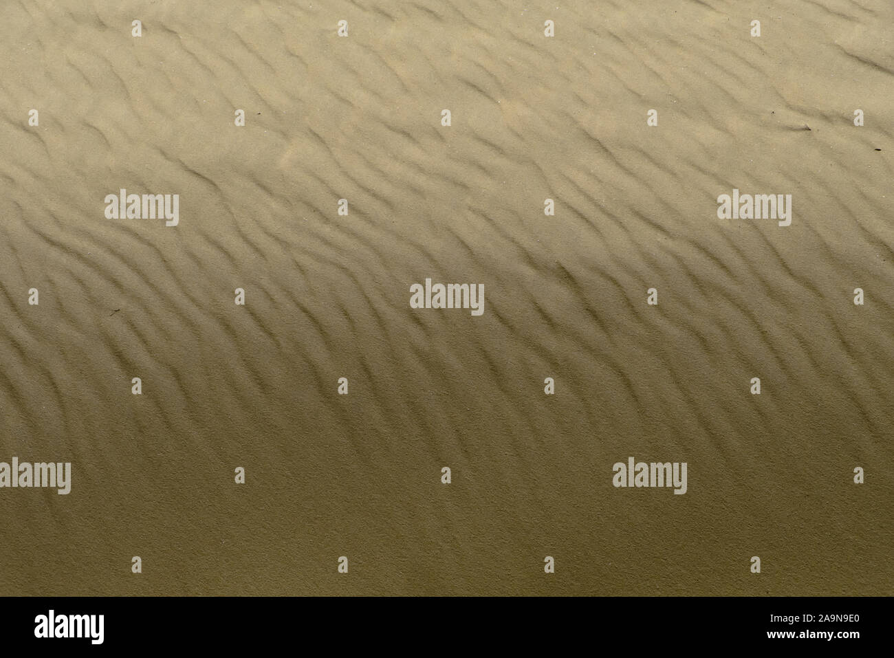 Strukturierten Hintergrund von Golden Sand durch den Atlantischen Ozean in Arcachon, Frankreich Stockfoto