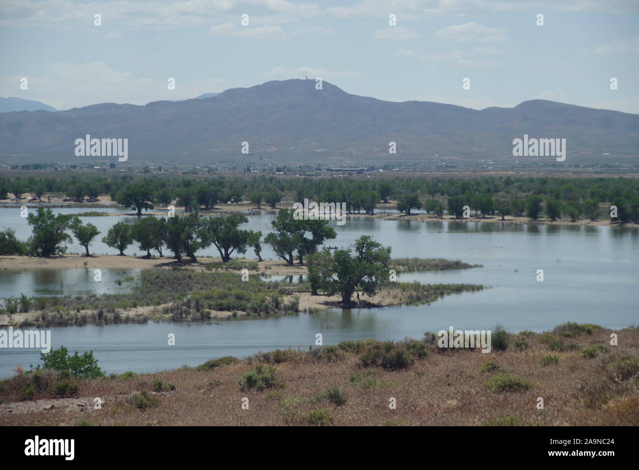 See Lahonton State Recreation Area, Lyon County, Nevada Stockfoto