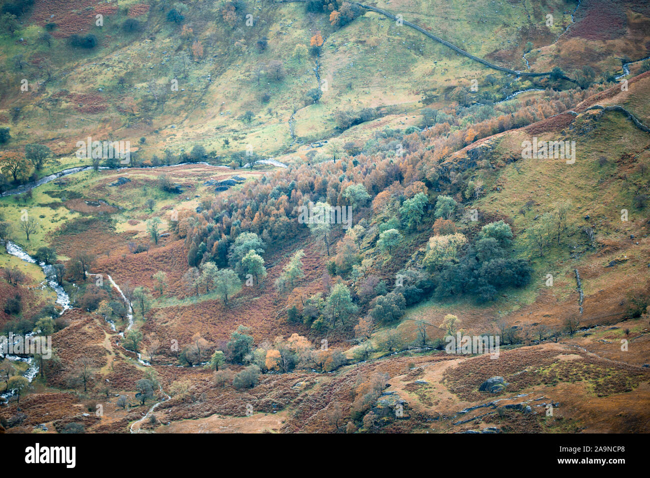 Das malerische Tal bei regnerischen herbstlichen Tag im Lake District Nastional Park, Großbritannien Stockfoto
