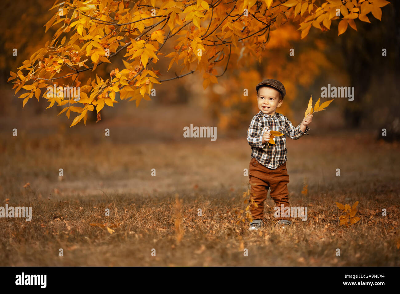 Herbst Portrait von glücklichen kleinen Jungen in karierte Kappe spielt mit gelb Blatt im Freien Stockfoto