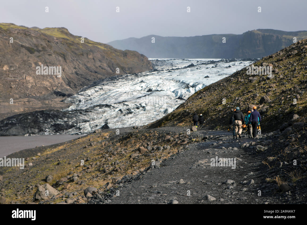 Myrdalsjökull Gletscher, South Island Stockfoto