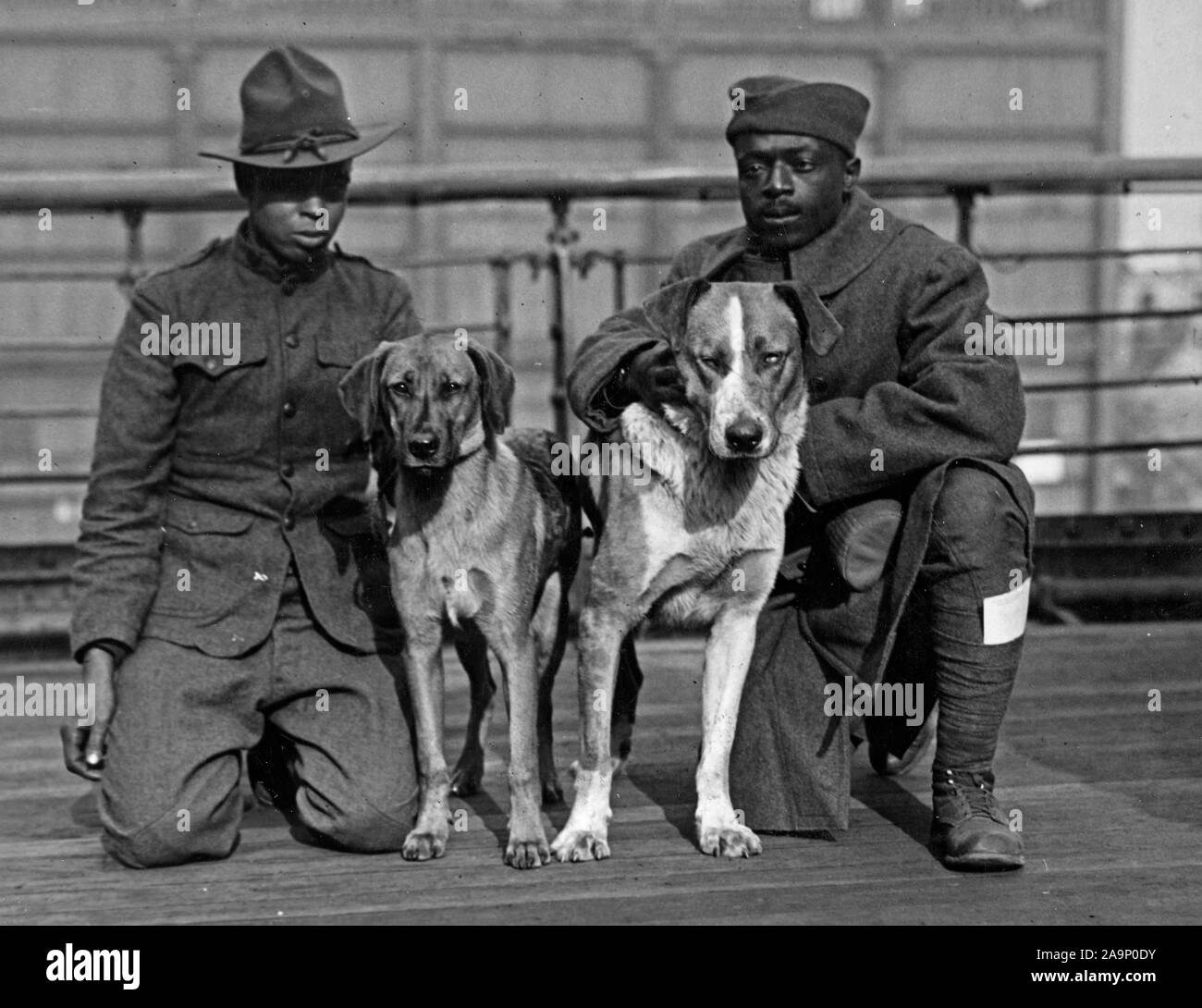 WW ich Fotos - Farbig/Afrikanische amerikanische Truppen - "Deutsche Hunde' Kronprinz und Kaiser Bill, zwei deutsche Hunde, die durch privates Robinson Cleve, 539 Ingenieure erfasst wurden, und Daniel Nelson, 372 Infanterie, zwei Verletzte farbigen Soldaten, die für die Beförderung der George Washington zurück Ca. 1918-1919 Stockfoto