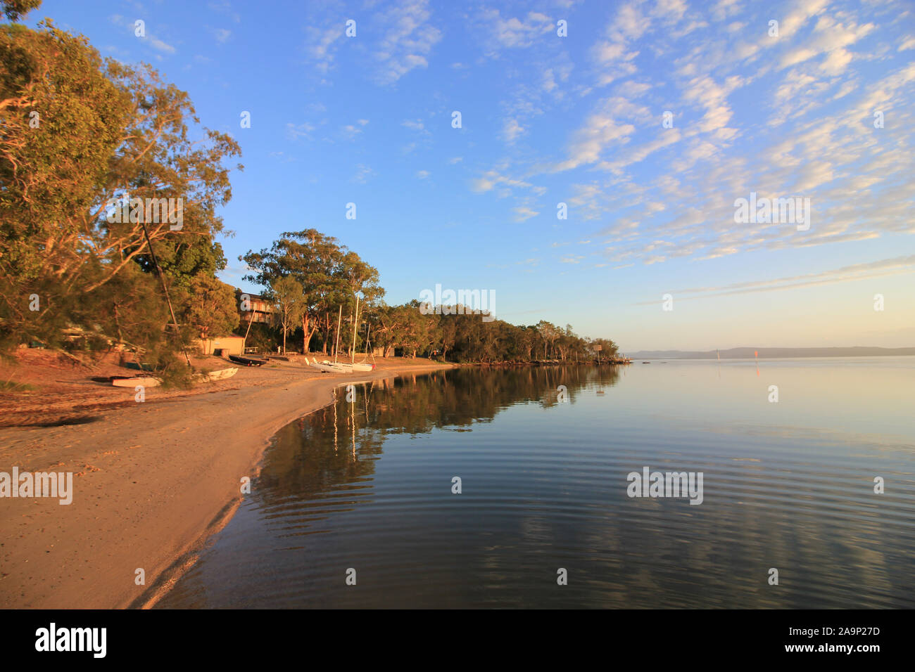 Die Landschaft von boreen Point, Queensland, am Rande des Lake Cootharaba während eines Sommer Sonnenaufgang Stockfoto