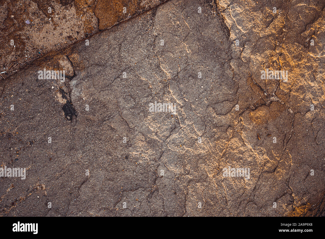 Nahaufnahme von der groben Sandstein Felsen an der Küste bei Yamba, New South Wales. Stockfoto