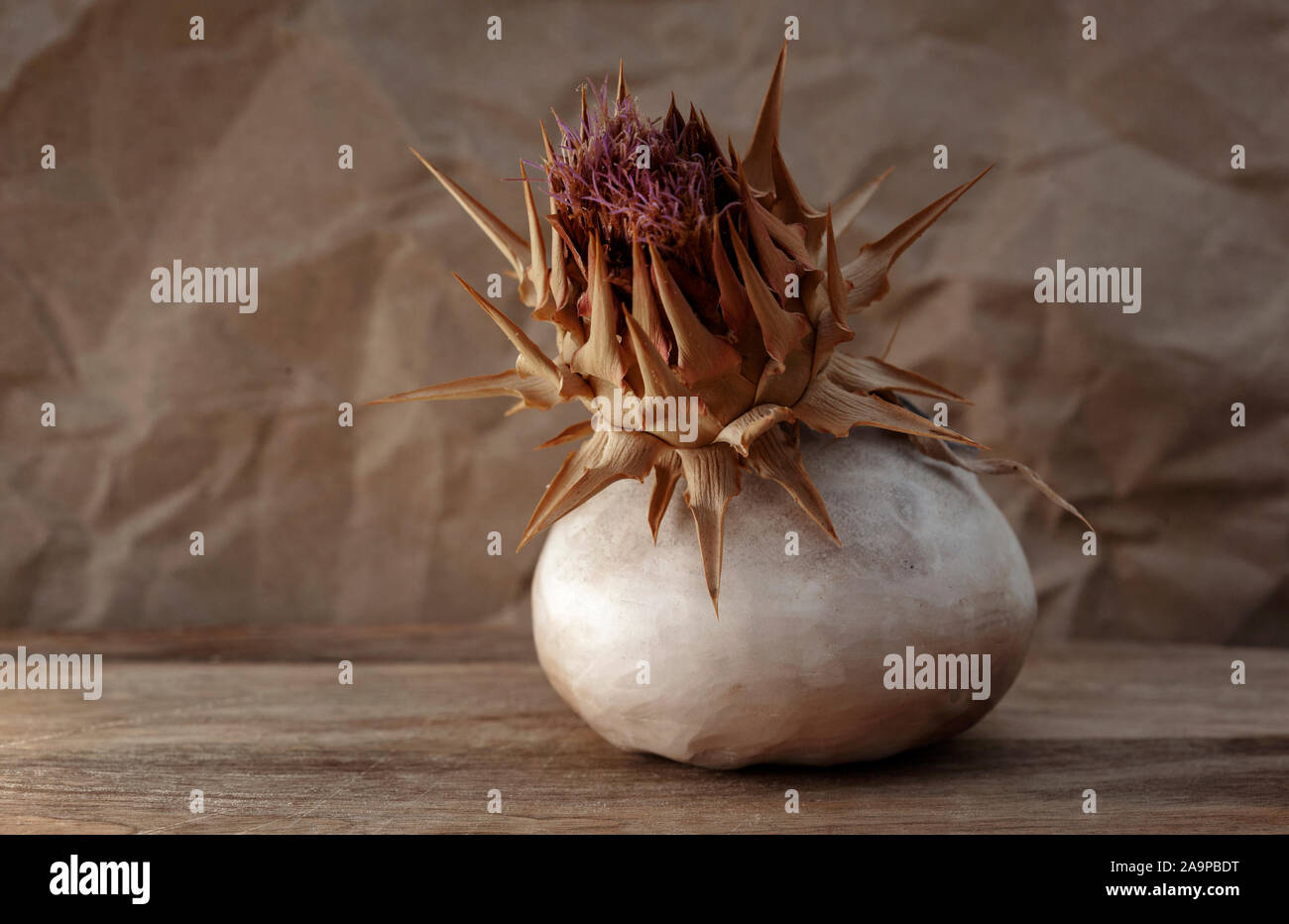 Stillleben mit getrockneten Artischocke Blume, Altes Foto Stilisierung Stockfoto