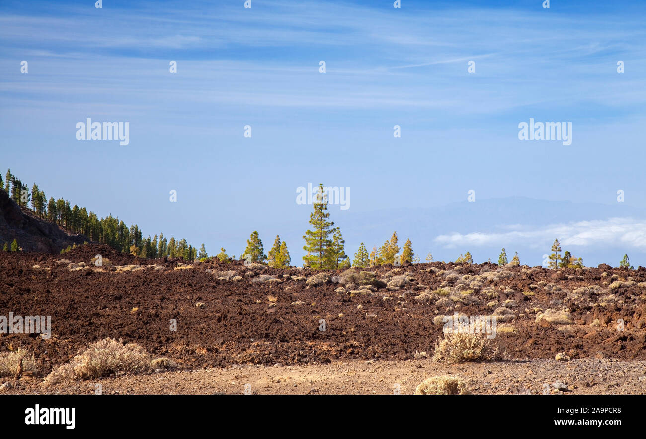 Teneriffa, Aussicht vom Mirador del Teide Narices Viewpoint, La Gomera Silhouette Stockfoto