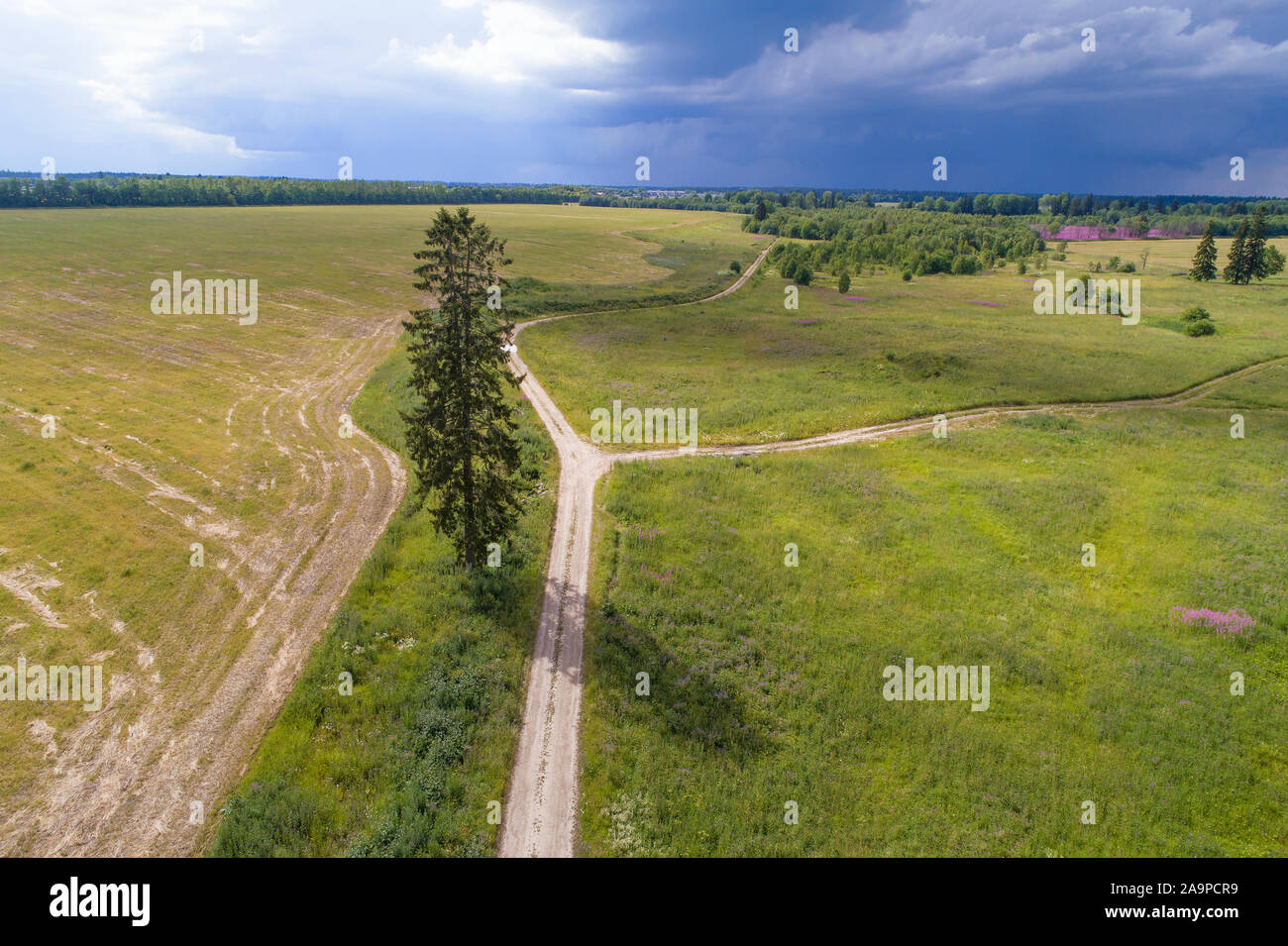 Land straße im Juli Landschaft vor einem Gewitter (Luftaufnahmen). Region Leningrad, Russland Stockfoto