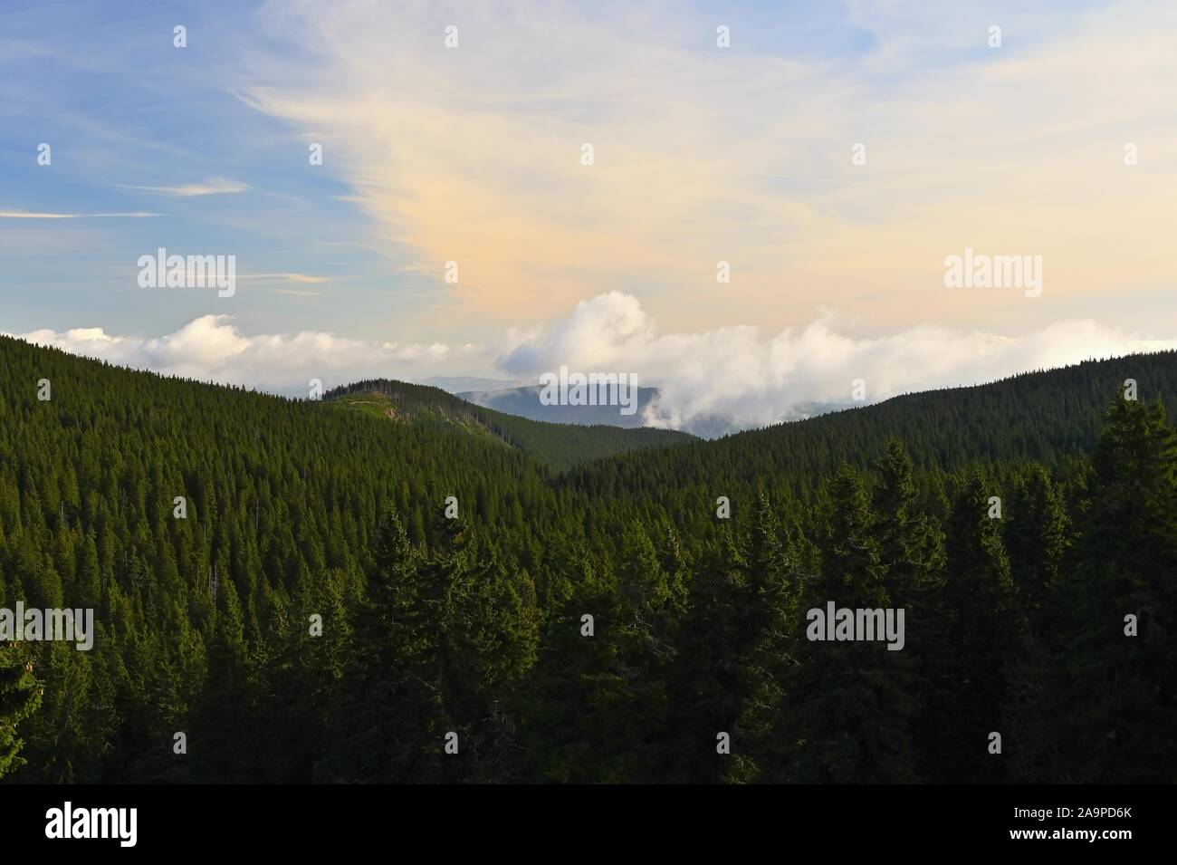 Schöne Landschaft mit Wald und Himmel auf Bergen. Natur pur rund um Jeseníky - Tschechien - Europa. Stockfoto