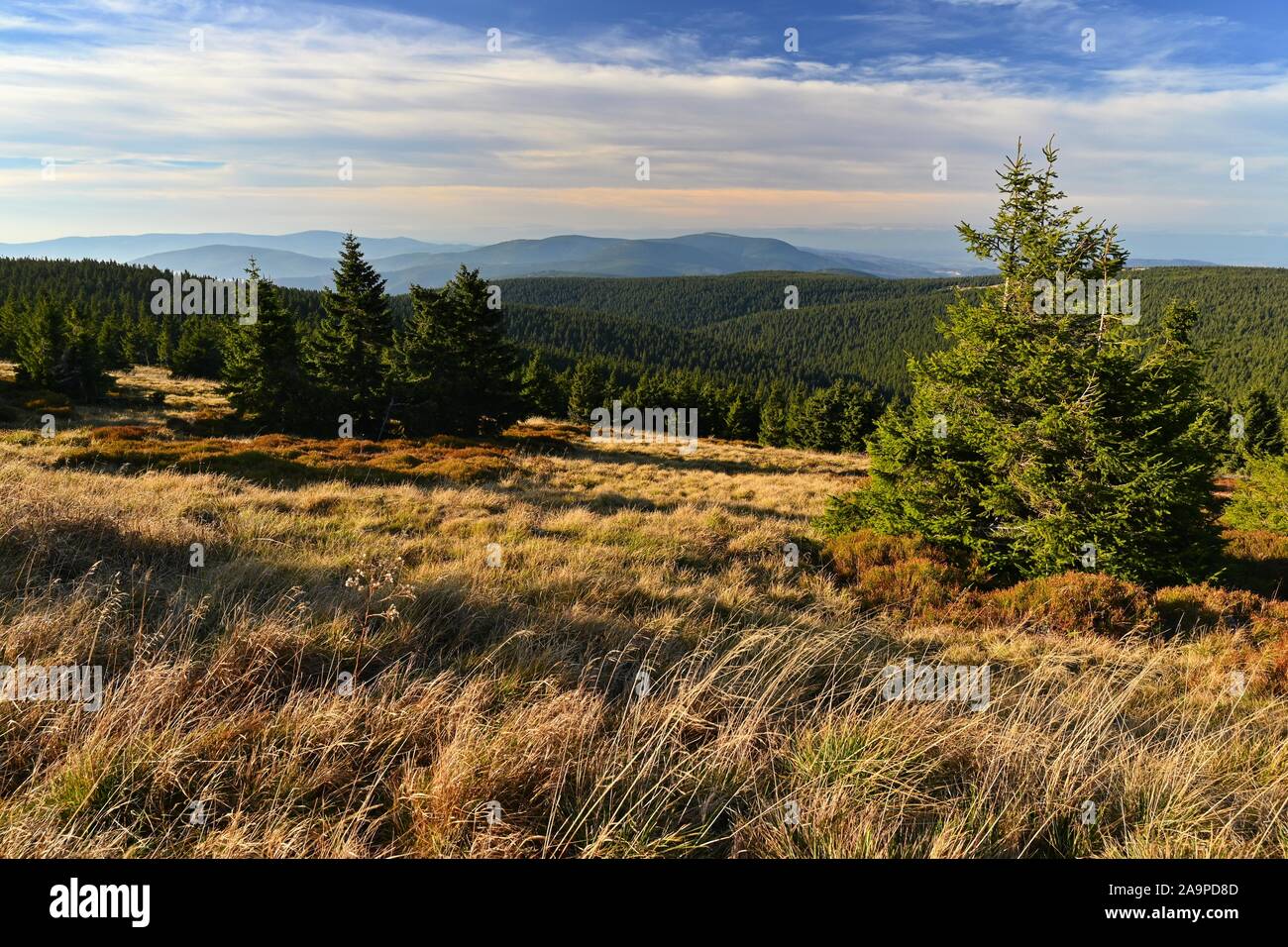 Schöne Landschaft mit Wald und Himmel auf Bergen. Natur pur rund um Jeseníky - Tschechien - Europa. Stockfoto