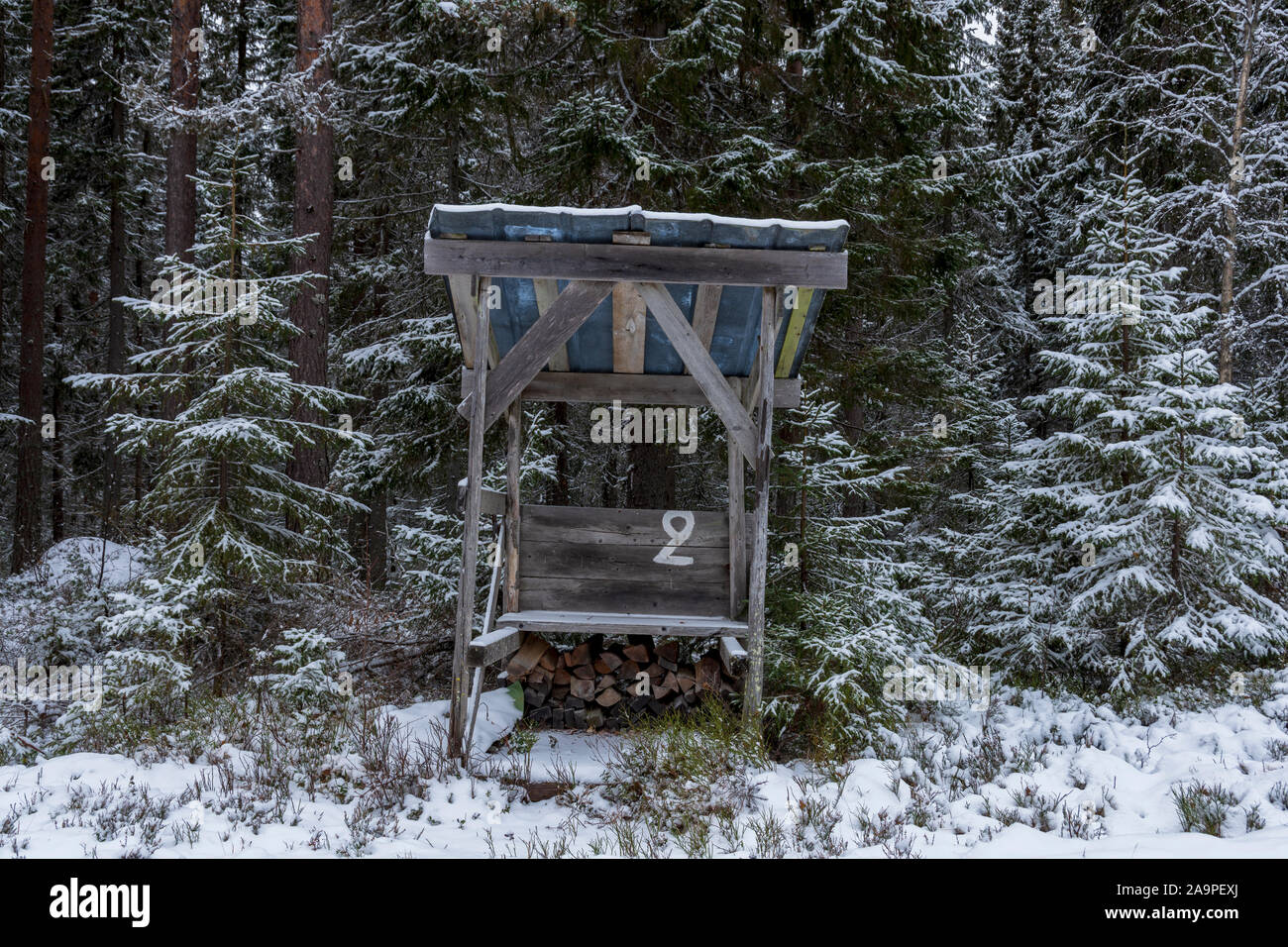 Tierheim in den Wald mit Brennholz, für Moosehunting, Bild aus Nordschweden verwendet. Stockfoto