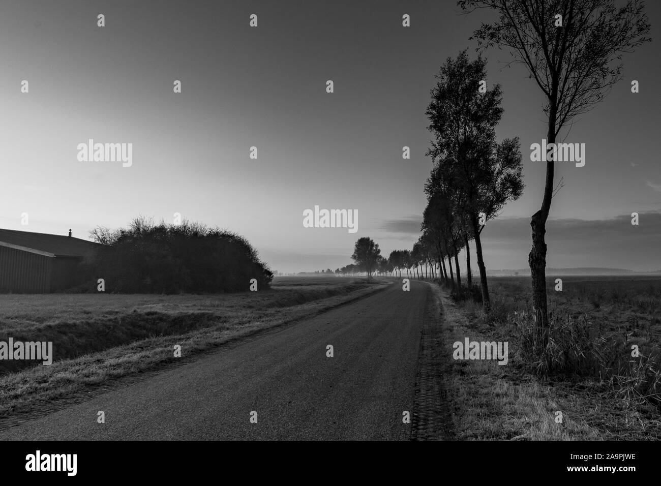 Landstraße in Zeeland die Niederlande, Sonntag Morgen neblig. Stockfoto