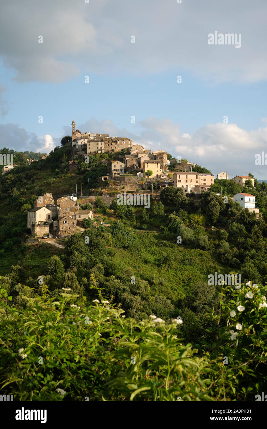 Sorbo-Ocagnano hoch liegendes Dorf im Departement Haute-Corse Departement von Frankreich auf der Insel Korsika - Korsika Dorf Landschaft. Stockfoto