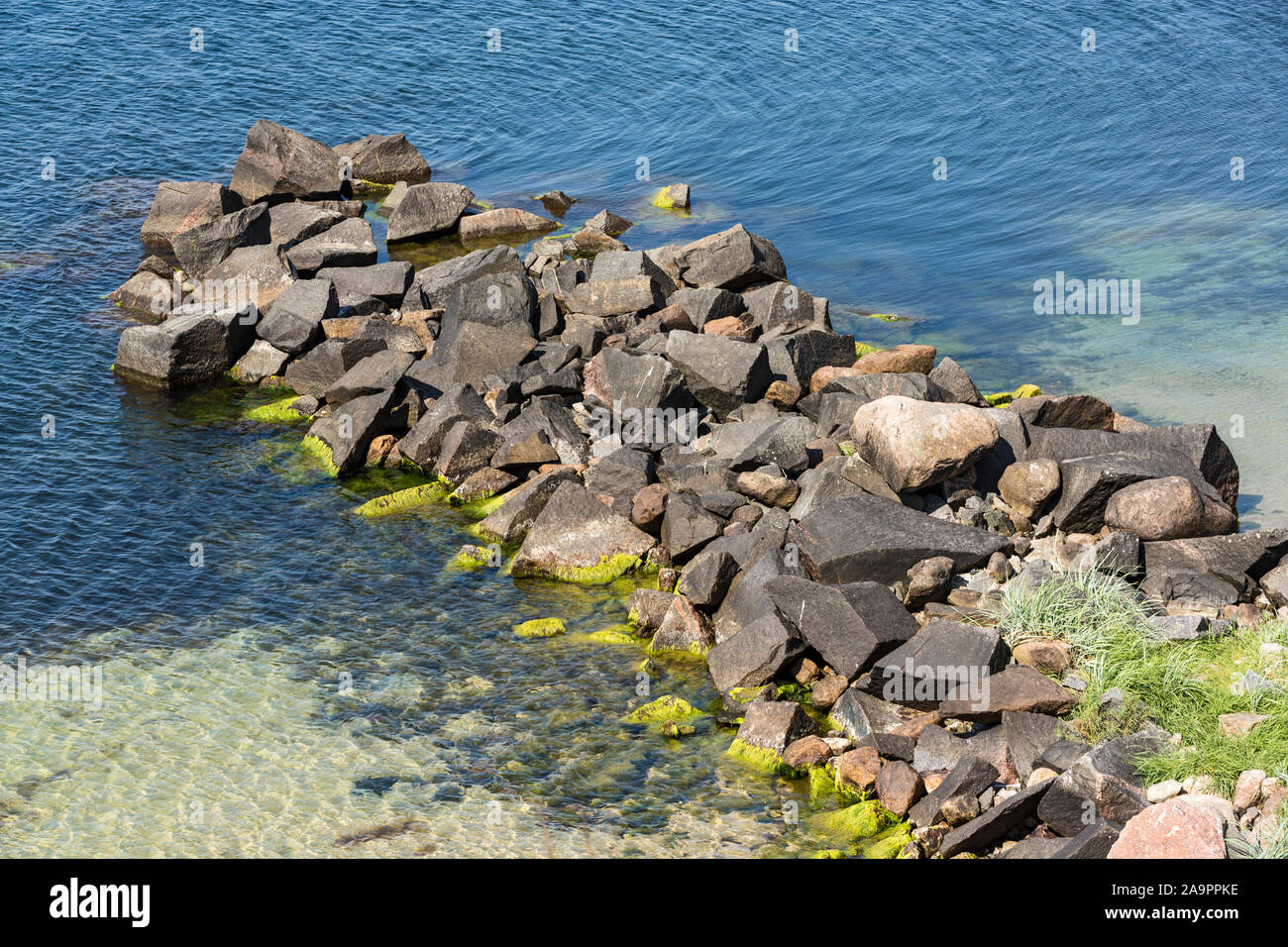 Rønne, Bornholm, Strand, Meer, Bune Stockfoto