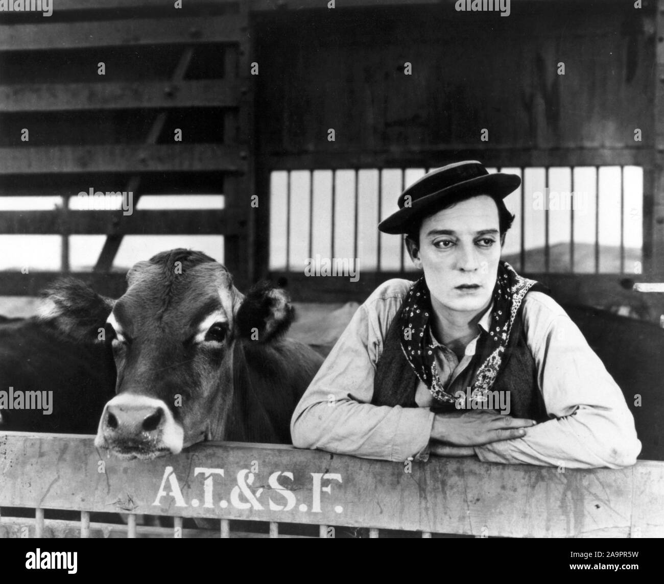 BUSTER KEATON in GO WEST (1925), unter der Regie von Buster Keaton. Credit: M.G.M/Album Stockfoto