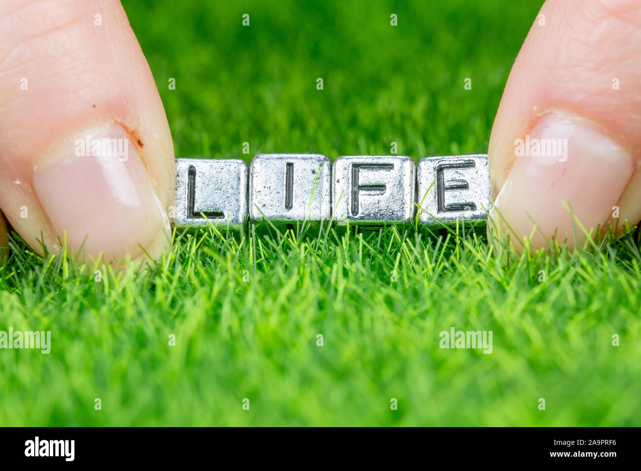 Nahaufnahme auf Wort leben in Metall Buchstaben auf Gras gelegt geschrieben und zwischen die Finger einer Frau. Konzept von Wellness Hintergrund Stockfoto