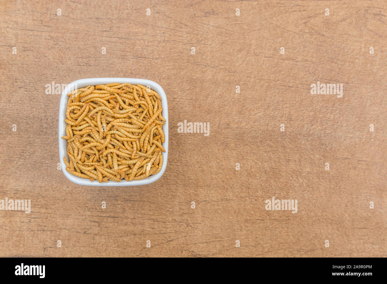 Teller von essbaren Mehlwürmer/Tenebrio Molitor - auf Faux Holz b/gd. Konzept entomophagy, essbare käfer, insekt Superfoods, insekt, insekten als Nahrung. Stockfoto