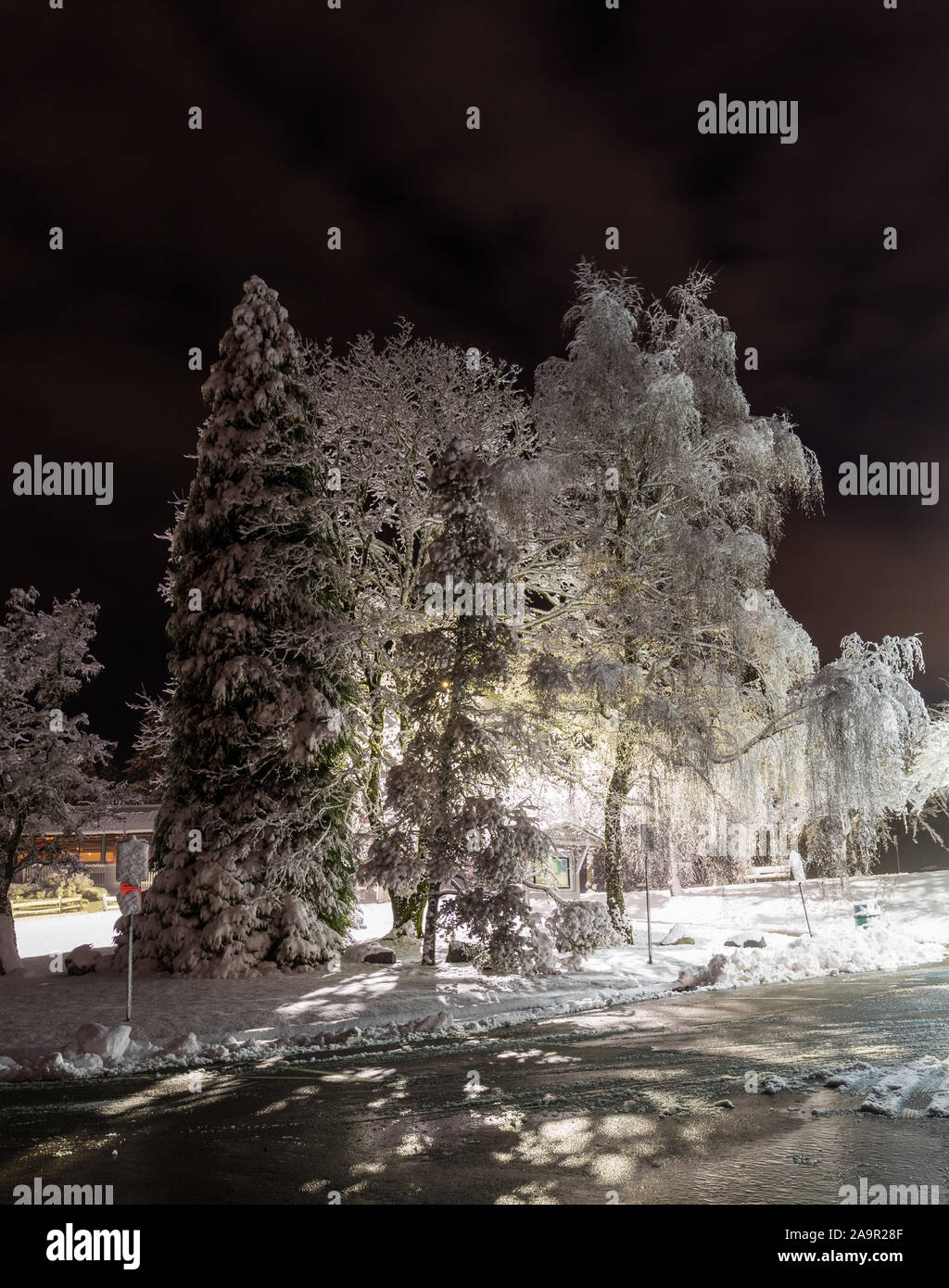 Winter snow park alley Nachtlichter Landschaft. Winter snow night lights im Winter die Stadt-/Parkblick Stockfoto