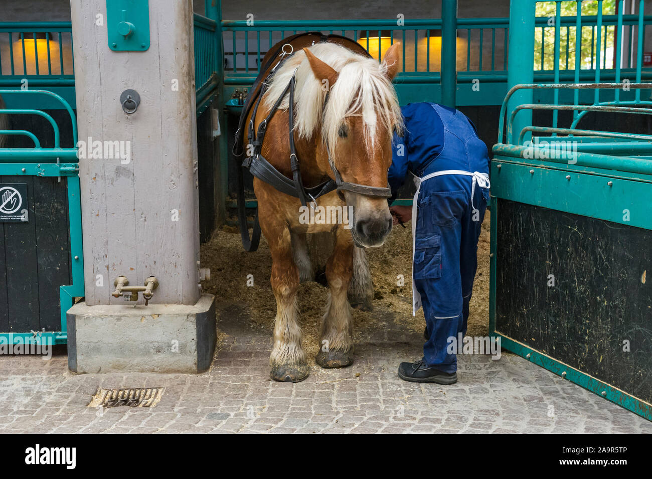 An der Brauerei Carlsberg, Kopenhagen, Dänemark stabil Stockfoto