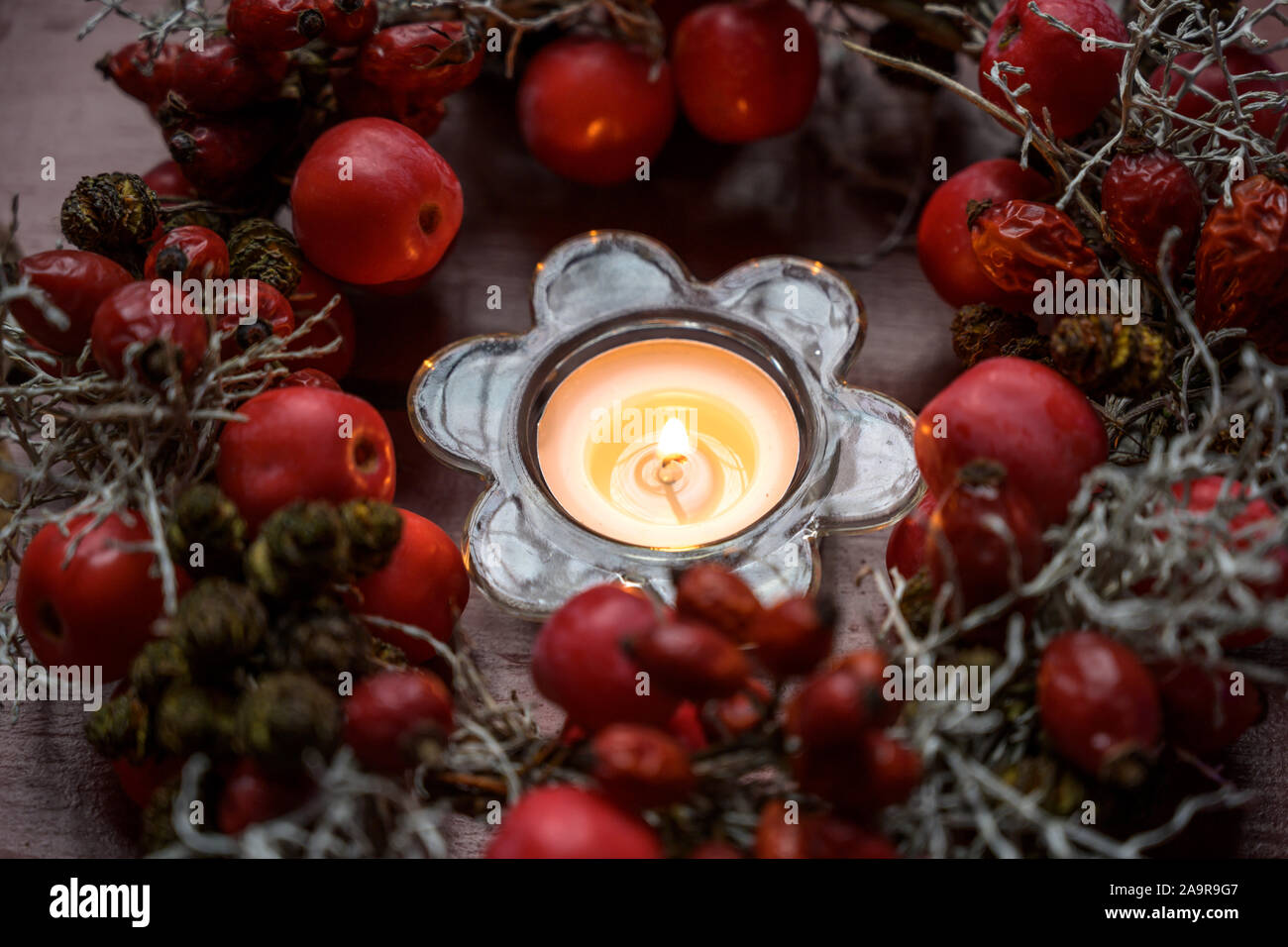 Kleine Kranz mit Hagebutten und rote Äpfel um eine brennende Kerze als Tischdekoration im Herbst, Advent und Weihnachten, ausgewählte konzentrieren, schmale de Stockfoto