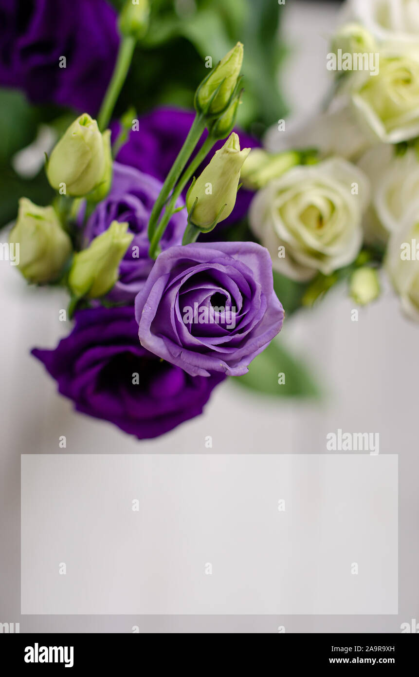 Gruß oder einladungskarte Vorlage oder Mock up. Eustoma Blumen mit Platz für Text. Vertikale Zusammensetzung Stockfoto