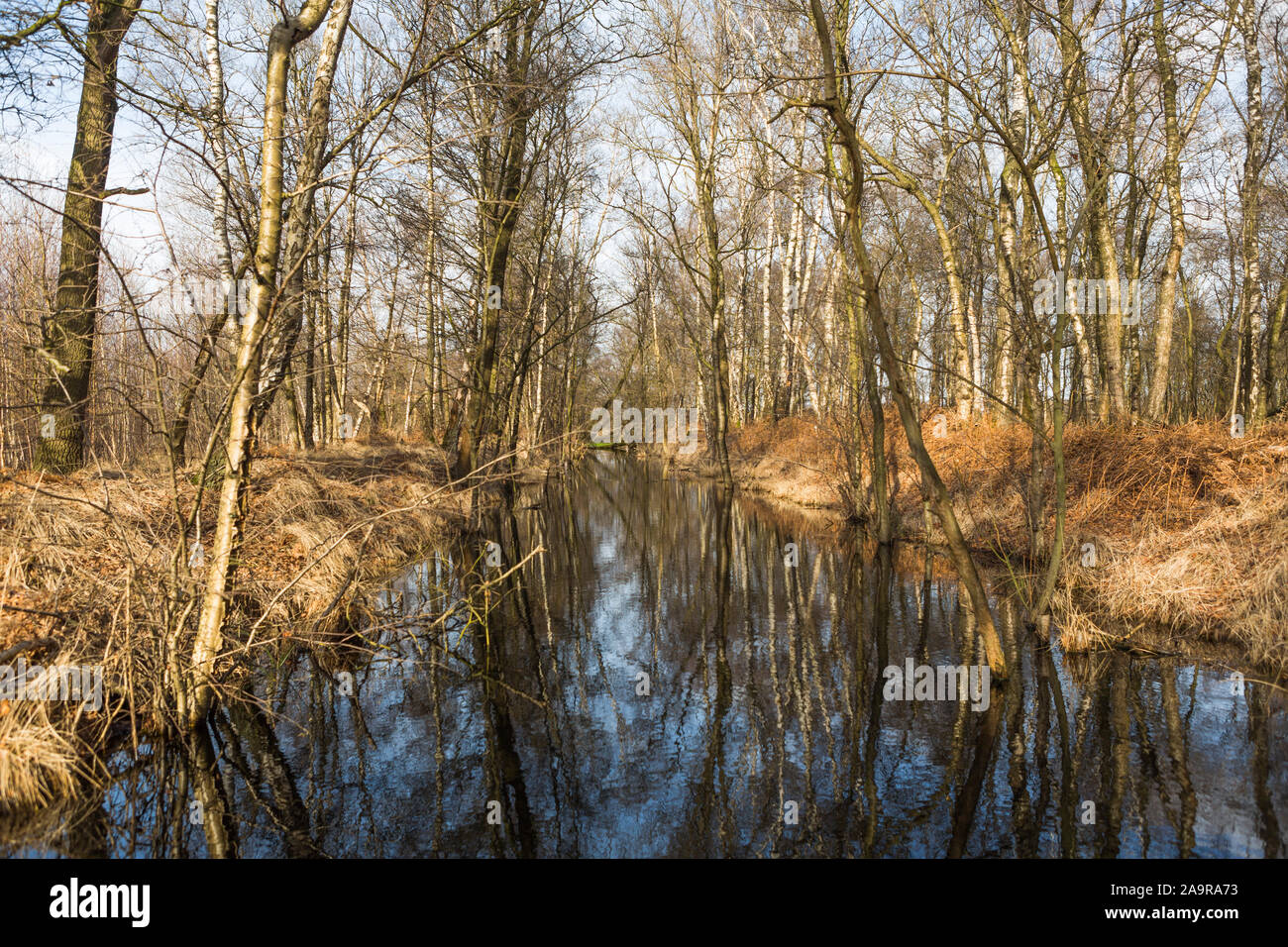 Alte obsolet Kanalkreuzung Feuchtgebiet Torf und Moor Naturschutzgebiet "ariapeel', 'de Peel" in den Niederlanden Stockfoto