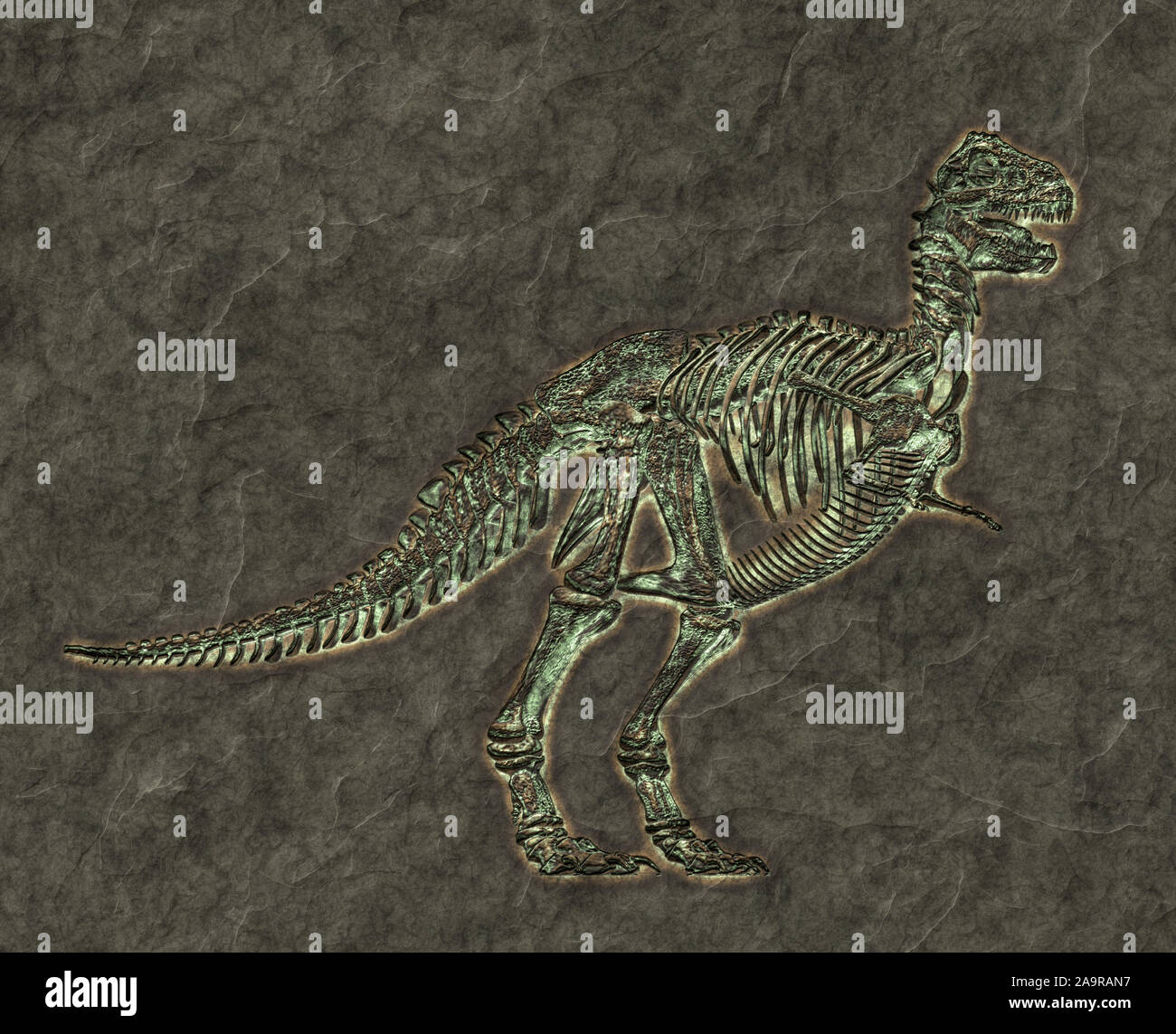 Ein Bild von einem riesigen T-rex Skelett versteinerte Stockfoto