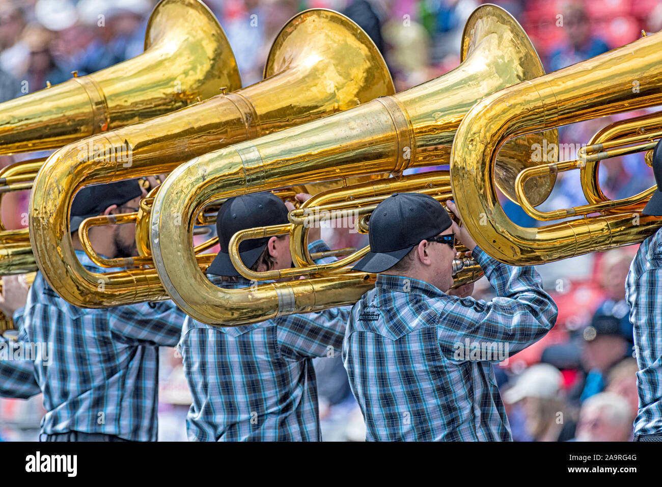 Tuba Spieler bei der Calgary Stampede Tribüne zeigen, Alberta, Kanada Stockfoto