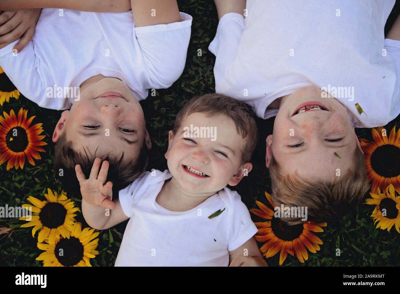 Jungen in Sonnenblumen Stockfoto