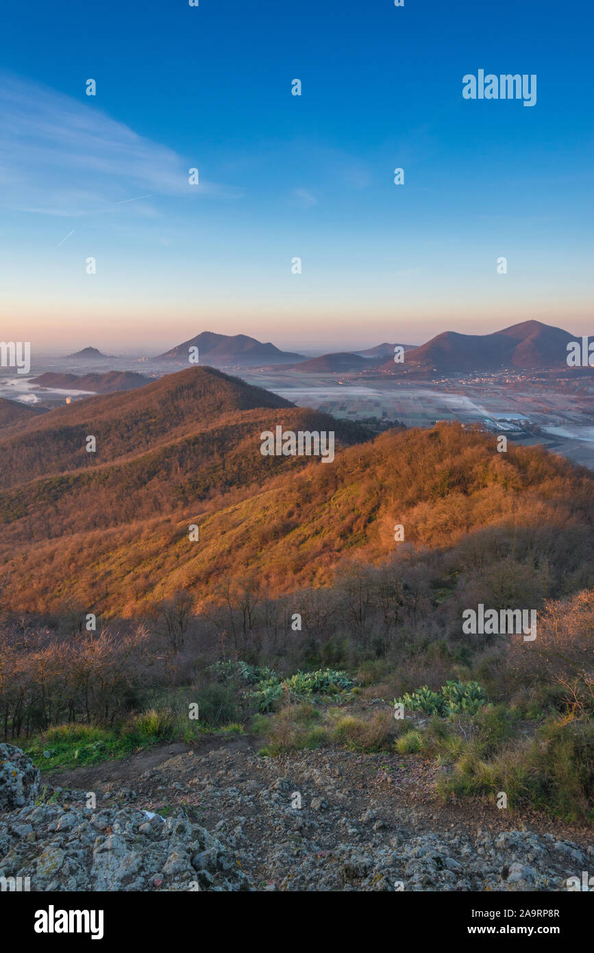 Sonnenaufgang mit Blick auf die Euganeischen Hügel, etwas außerhalb von Padua. Misty Talsohlen und buschigen Hügeln von Dawn Farben bemalt. Nebel in den Hügeln bei Sonnenaufgang. Stockfoto