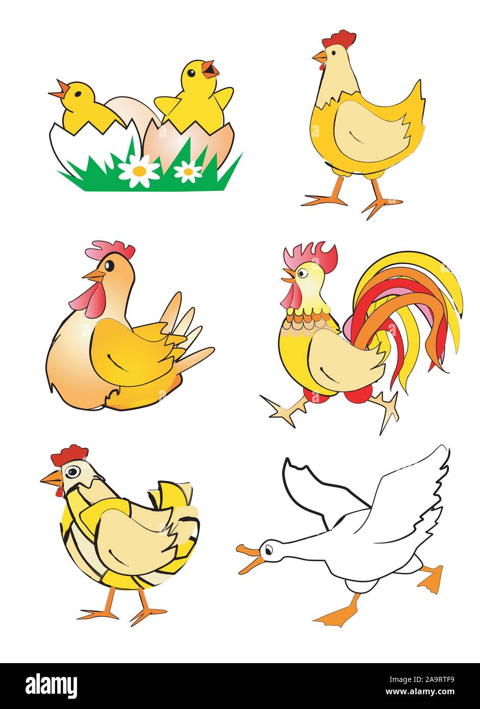 Huhn, Henne, Hahn und Gans - Cartoon. Bunte Stilisierte Abbildungen von Huhn, Henne, Hahn und Gans. Auf weissem Hintergrund. Stock Vektor