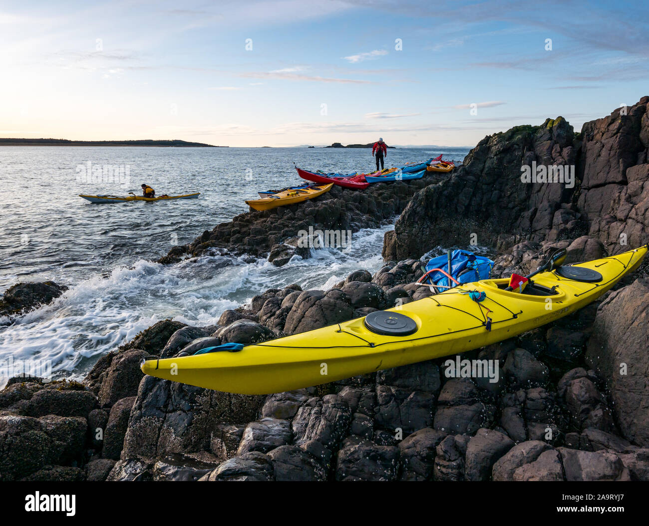 Lamb Island, Firth of Forth, Schottland, Vereinigtes Königreich. November 2019. Kajakfahrer auf der Lothian-See fahren nach Lamb Island. Der Seekajak-Club macht im Winter jedes Jahr eine Reise nach ‘Malvé Bash', um die Insel von Baummalchen zu befreien, die Papageientaucher daran hindern, Höhlen zu machen. Die Insel ist schwer mit dem Boot zu landen, aber mit dem Kajak erreichbar, obwohl es aufgrund des Anschwellens schwierig ist, wieder in die Kajaks zu kommen Stockfoto