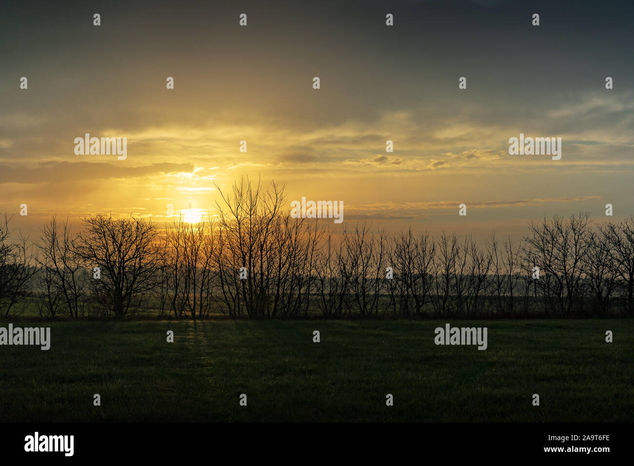 Sonnenuntergang über Natur pur Felder mit Bäumen auf der Seite. Stockfoto