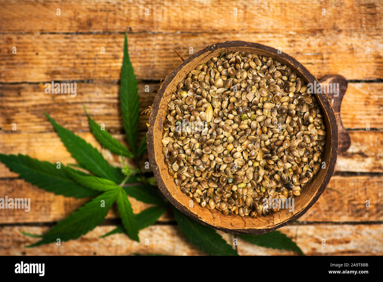 Cannabis marihuana samen und Blätter in einer Schüssel auf einem hölzernen Hintergrund Stockfoto