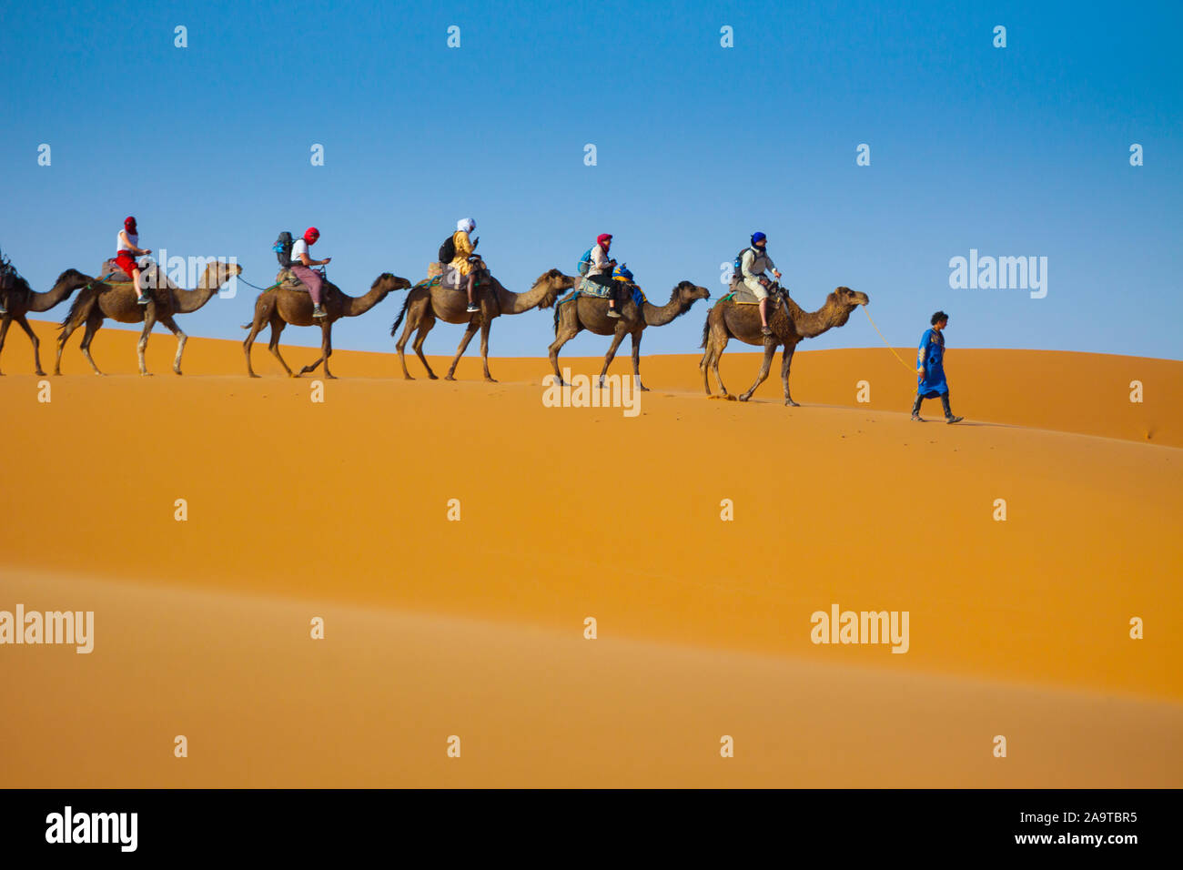 Kamel Wüste, Fahrt Sahara, Afrika reise, Düne Kamel, wilde Erfahrung, kamelkarawane, Merzouga Reise Stockfoto
