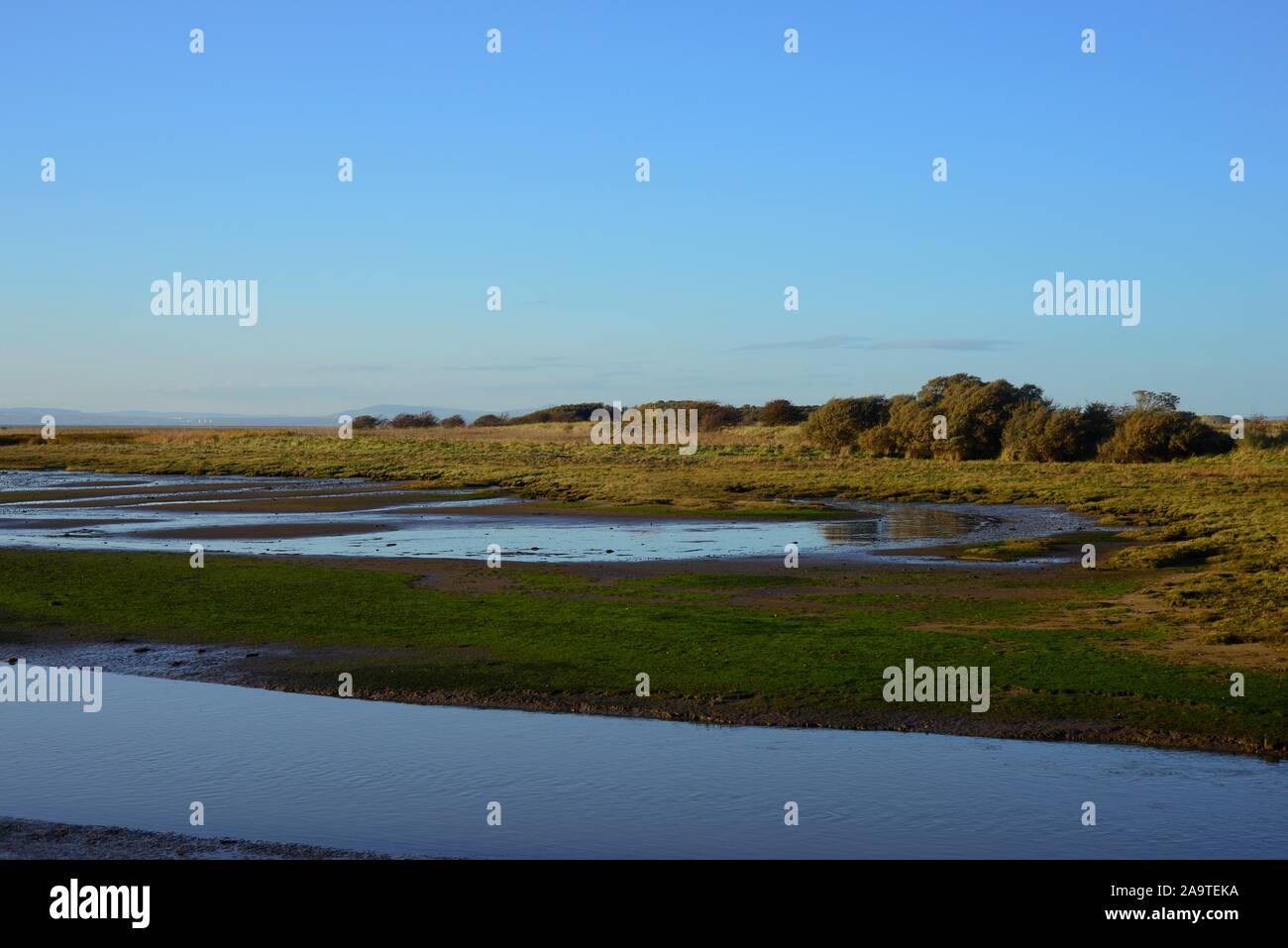 Aberlady Bay Schottland Stockfoto