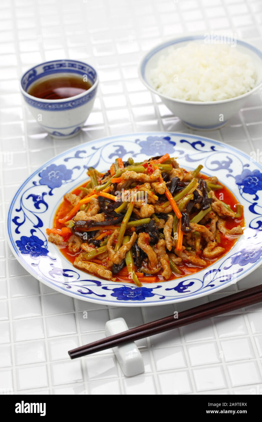 Yu Xiang rou Si, Sichuan zerkleinertem Schweinefleisch, chinesische Küche Stockfoto