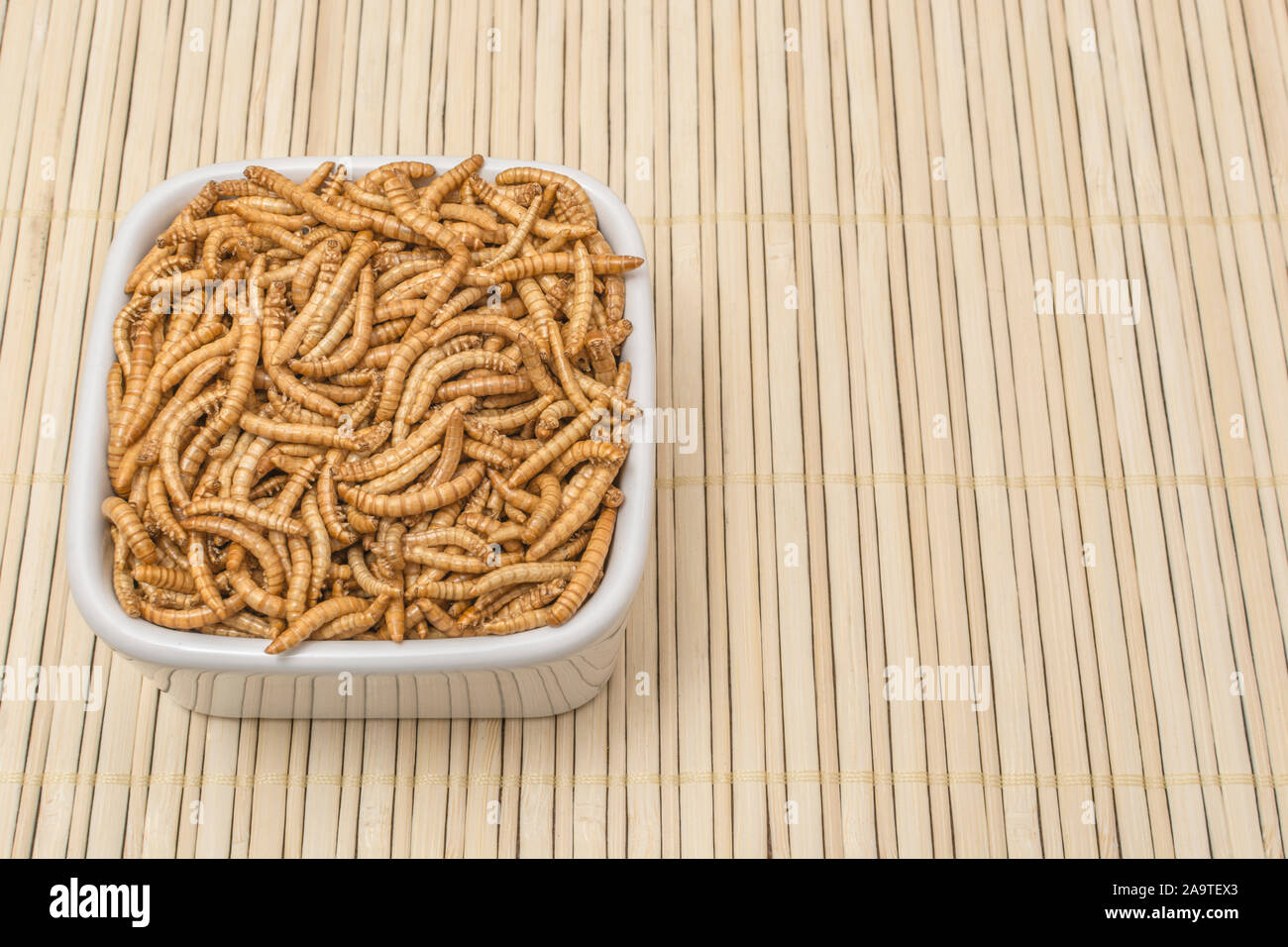 Teller von essbaren Mehlwrmer/Tenebrio Molitor auf Bambus Matte. Fr  entomophagy, essbare kfer, insekt Superfoods, insekt, insekten als  Nahrung, neuartige Lebensmittel Stockfotografie - Alamy