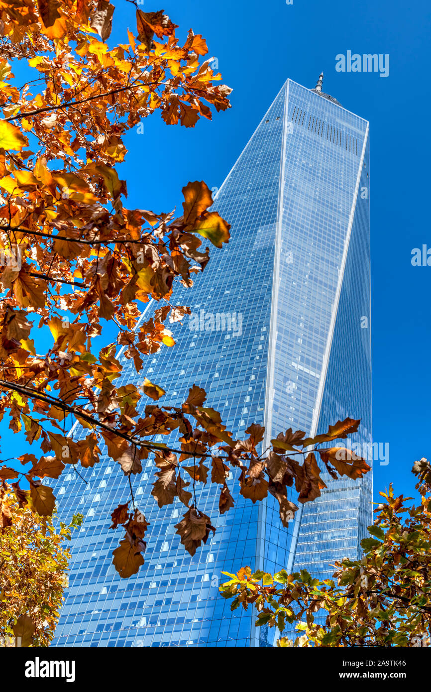 Malerischer herbst Low Angle View des One World Trade Center, Manhattan, New York, USA Stockfoto